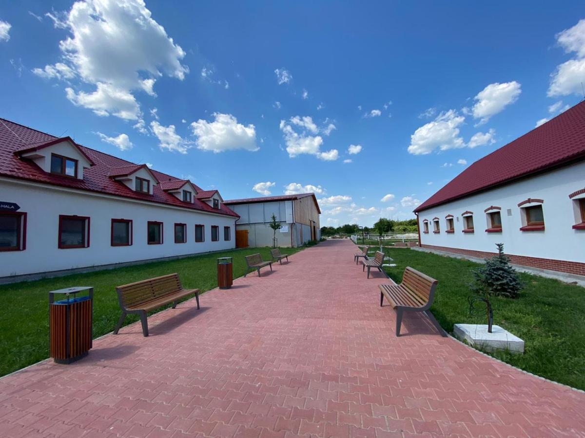 Terra Penzion Jasova Eksteriør billede